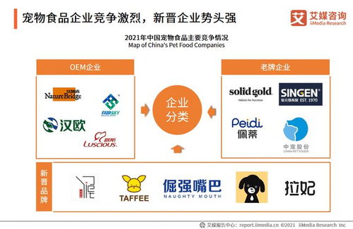 中國寵物用品產(chǎn)業(yè)鏈全景與市場規(guī)模洞察 技術(shù)咨詢視角下的2021年1500億元寵物食品市場